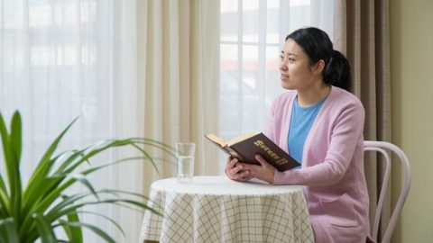 苦境中散发出爱的芬芳