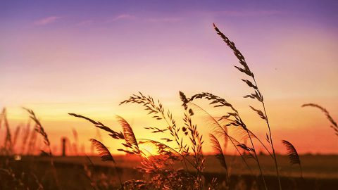 怎麽分辨假基督，假基督有什麽特徵