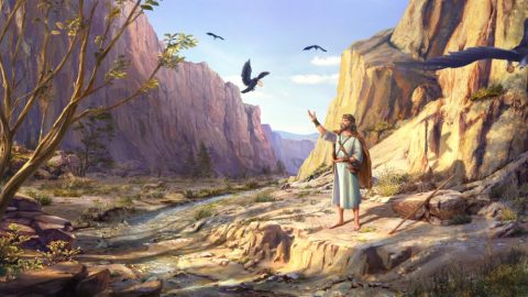 乌鸦给以利亚叼饼和肉