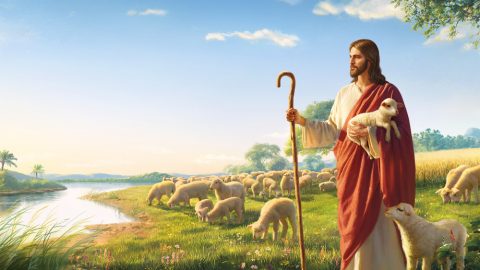 我就是道路真理生命