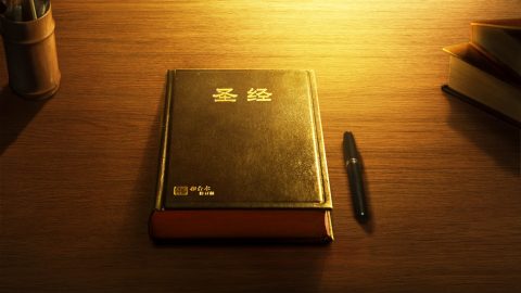 聖經只是神律法時代、恩典時代兩步作工的紀實，并不是神全部作工的記載
