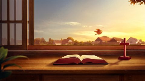 持守聖經、崇拜聖經為什麽得不着永生