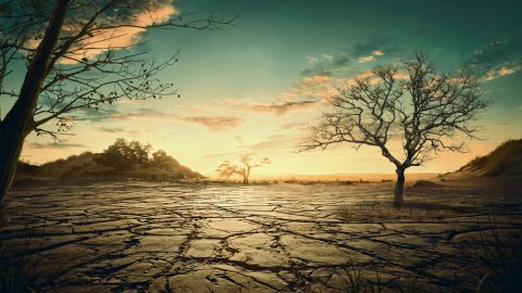 撒但是墮落的天使，它不能創造天地萬物，也不能超越神的權柄