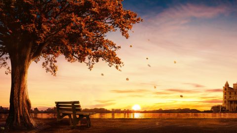 敗壞人類掌權給人類帶來哪些危害、後果