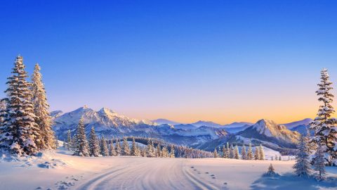 什麽是得勝者，如何在灾前被神作成得勝者