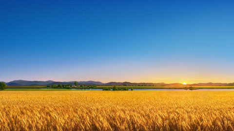 神根據什麽定規人的結局