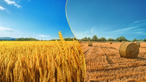 神拯救什麽人，淘汰什麽人