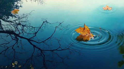 只承认神而不承认真理是什么性质的问题，后果是什么