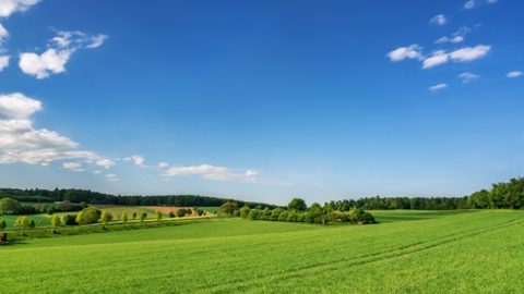 願意順服神權柄的人應有的態度與實行