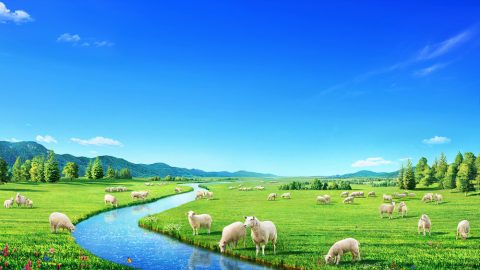 你得著永生之道了嗎