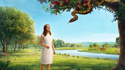 謠言是從哪裡來的，是怎麼產生的？