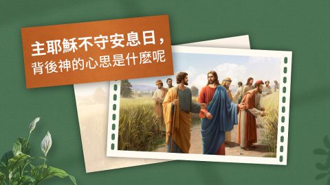 主耶穌不守安息日，背後神的心思是什麼呢