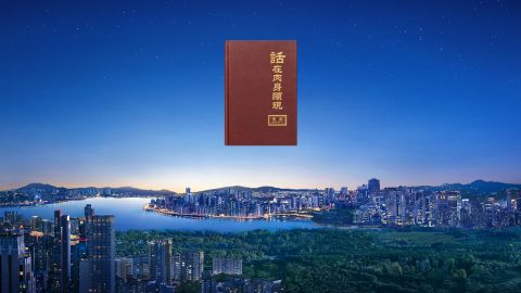 你们见证主耶稣已经回来了，并且是道成肉身来作工，这我就不明白了