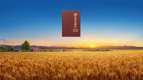 律法時代的工作神是使用摩西作的，為什麽末世審判工作神不使用人來作