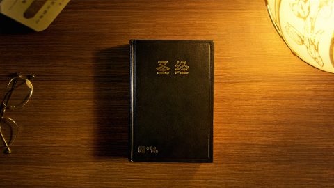 聖經都是神所默示的嗎