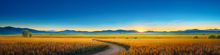 得潔净蒙拯救之路