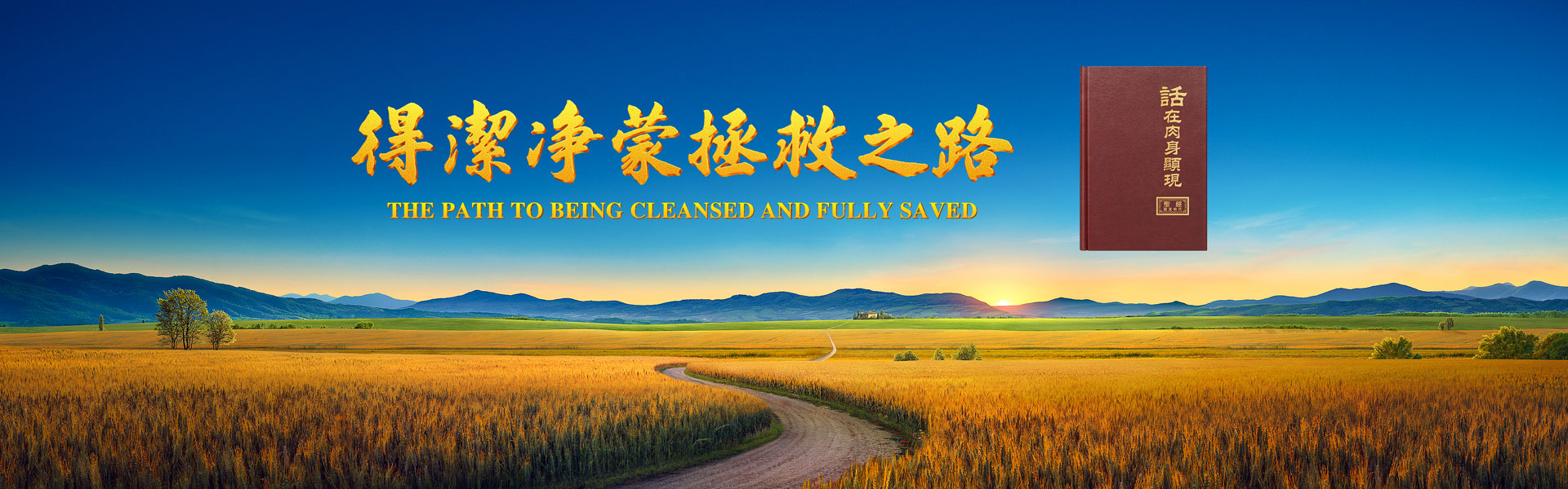 得潔净蒙拯救之路