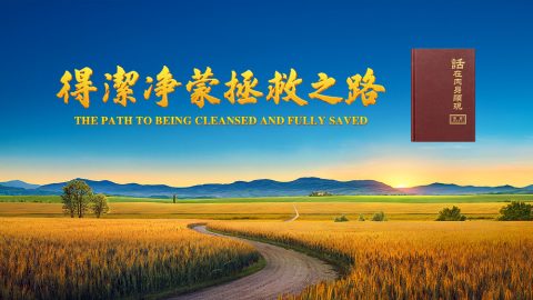 得潔净蒙拯救之路