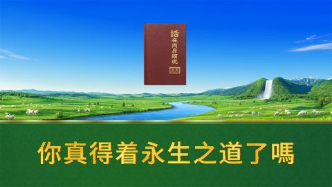 你真得着永生之道了嗎