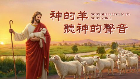 神的羊聽神的聲音