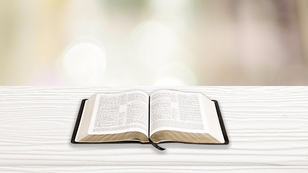 到底怎樣對待聖經、使用聖經才合神心意？聖經的原有價值是什麼？