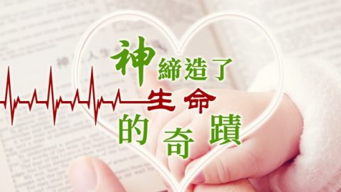 神締造了生命的奇蹟