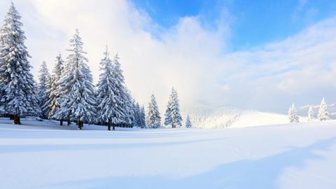 效法約伯　順服神安排