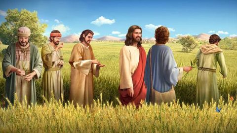 主耶穌在安息日作工