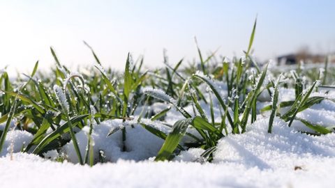 苦難是神的祝福